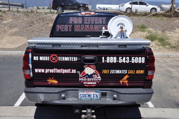 2008_Chevy_Truck_3M_Wrap_4__50566.1411673179 2008_Chevy_Truck_3M_Wrap_4__50566.1411673179