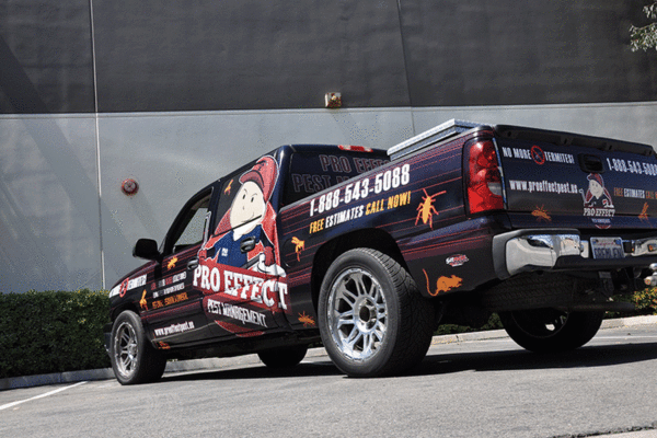 2008_Chevy_Truck_3M_Wrap_7__08763.1411673184 2008_Chevy_Truck_3M_Wrap_7__08763.1411673184